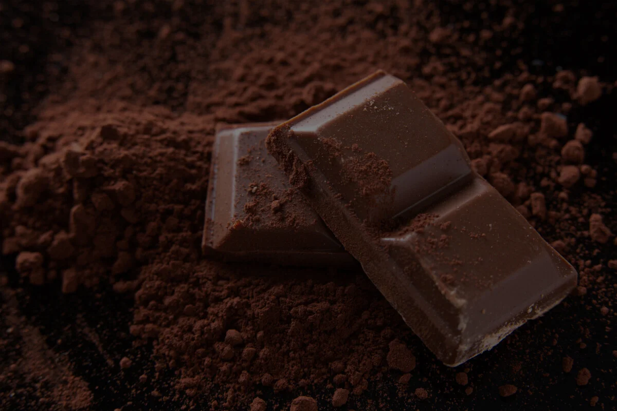 tavoletta di cioccolato su polvere di cacao